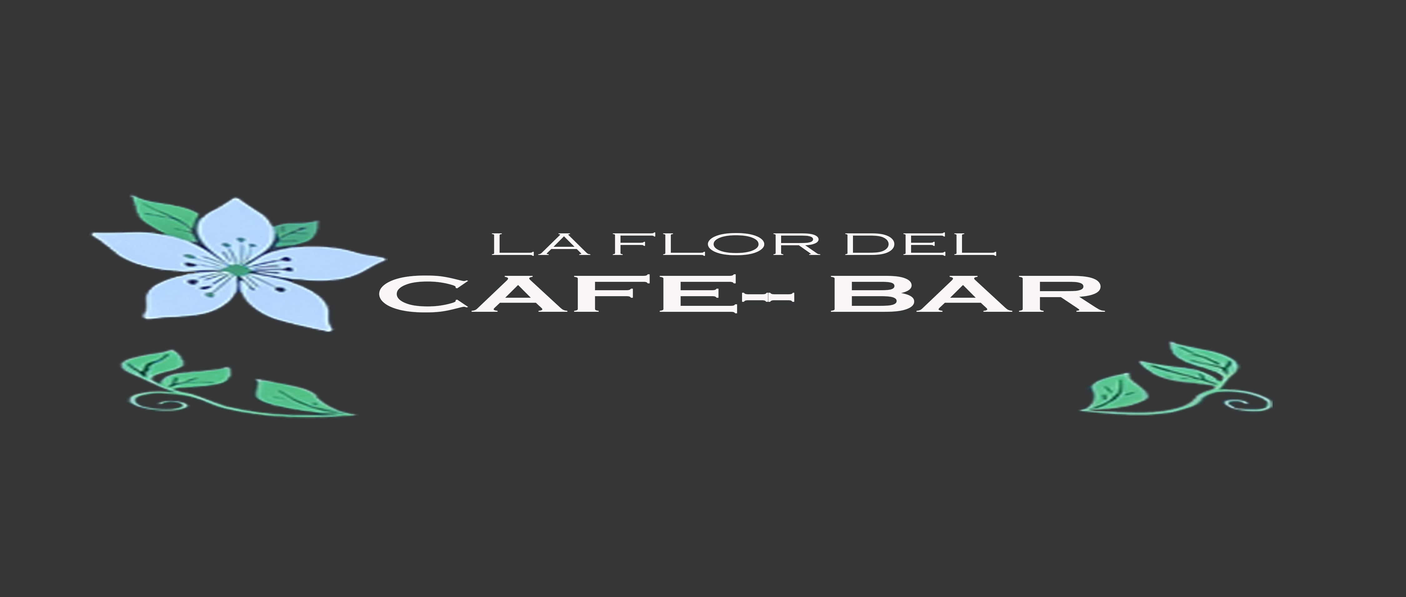 Cursos intensivos de español